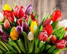 Как поразить женщин 8 марта (фото, смс)
