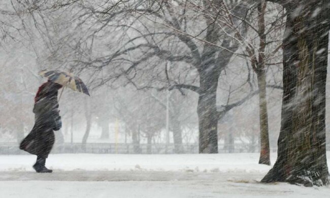 Зима. Фото: ukr.net