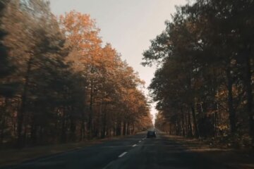 Осень, скриншот: YouTube