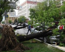 В Москві ураган знищив дівчинку: страшні кадри трагедії