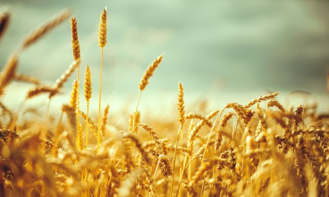 10 вересня: головні особливості цього дня