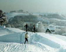 Синоптики рассказали, какой будет зима