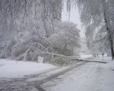 Харків поринув у сніговий апокаліпсис