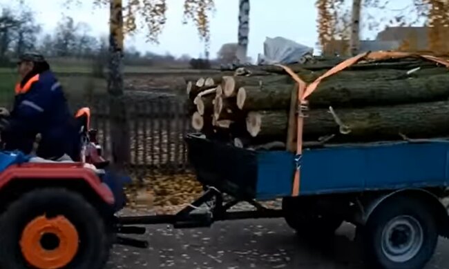 Дрова, скріншот з відео