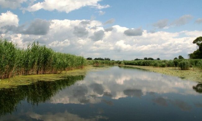 Німецьких учених зацікавили Скадовськ і Каховка