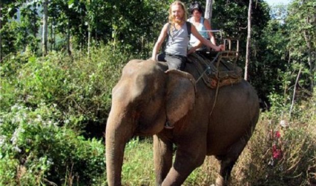 Слон в Таїланді вбив бивнем погонича