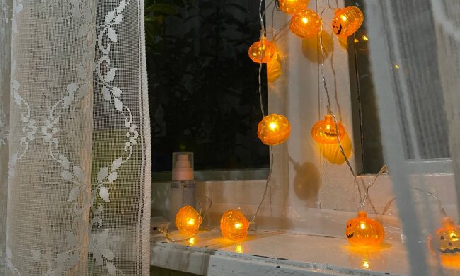 Гірлянда, фото: Знай.ua