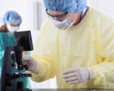 Россиянам рассказали, что в США высвободился страшный вирус