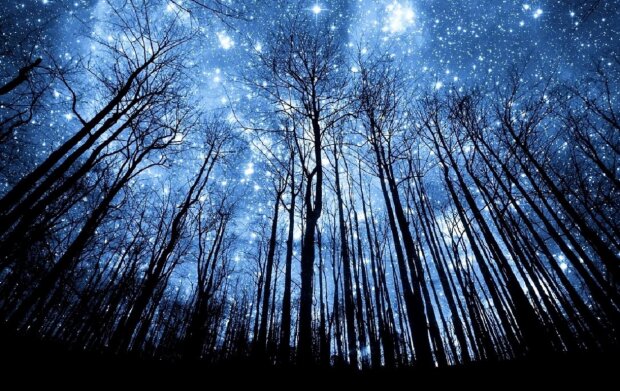 Зоряне небо. Фото: Youtube