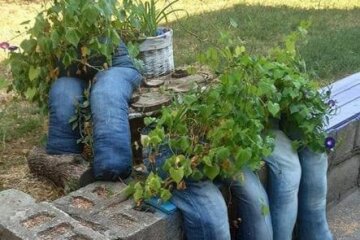 Під Дніпром клумби завалили джинсами, все дуже дивно: "Замість квітів?!"