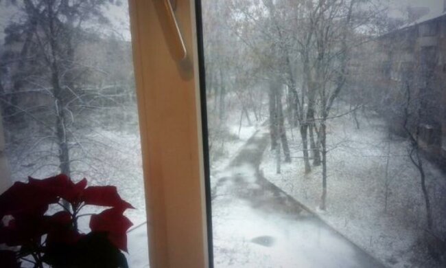 Кияни милуються першим снігом (фото)