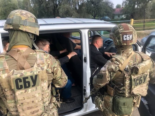 Організував "референдум" на Донбасі: СБУ спільно з ГПУ затримали ворога України, деталі