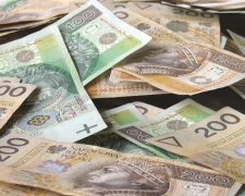 За полгода среди иностранцев в Польше больше всего заработали украинцы