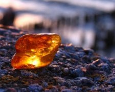 Месторождение янтаря разыграют на аукционе