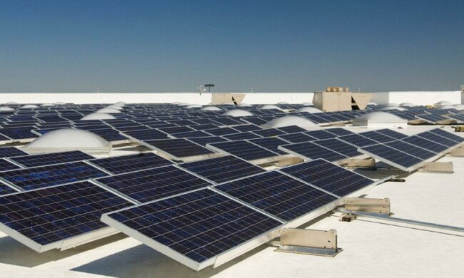 Илон Маск - глава Tesla