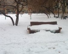 П'яні канадці з'їздили на дивані в ресторан