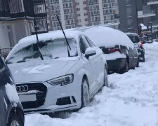 Снег во Львове, фото Николай Вышиванюк: Facebook Горячая линия города Львов