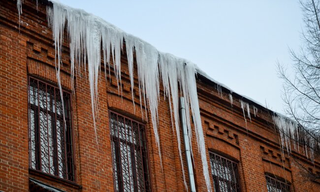 Бурулька. Фото: dvnovosti