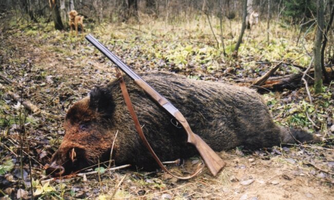 Держлісагентство назвало причини браконьєрства в Україні