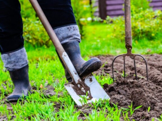 Огород, лопата, вилы, изображение из свободных источников