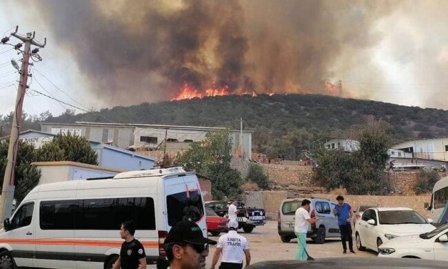 Пожежі в Туреччині, фото: Telegram