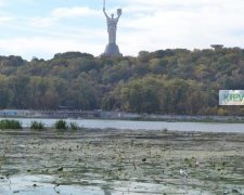 На Днепре появилось полсотни островов