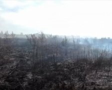 У дев'яти районах Київщини другий тиждень горять торфовища
