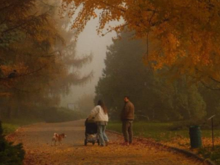 Українці, осінь, фото із соцмереж