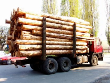 Тука запретил пропускать лесовозы на Луганщине