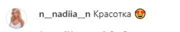 Скріншот з коментарів, instagram.com/__l_i_l_i_a___/