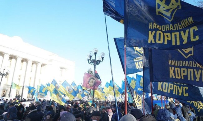 Мітинг під Верховною Радою, фото: Андрій Білецький / Телеграм