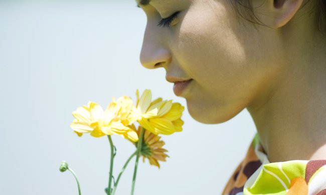Дівчинка страждає на важку форму алергії, навіть слабкий запах може викликати анафілактичний шок. Єдиний, хто може їй допомогти - це найкращий друг