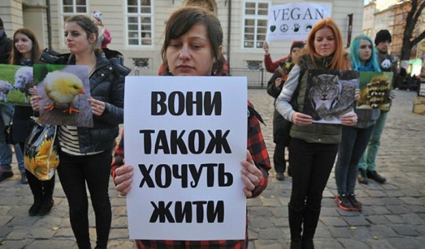 Львовские веганы устроили митинг против мясоедства (фото) 