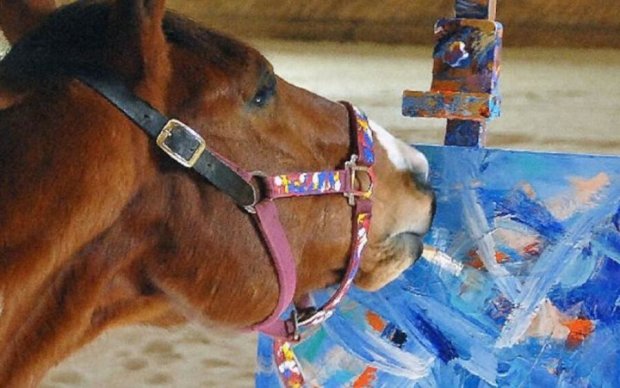 Бывшая скаковая лошадь стала художником