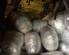 Силовики на кордоні вилучили більше 20 кг "кайфу"