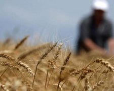 Олігархи вирішили залізти до кишені українських фермерів