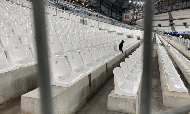 Знамениті команди зіграли матч заради глядача з хвостом