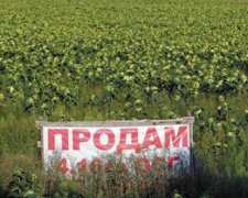 В Украине планируют продлить мораторий на продажу земли