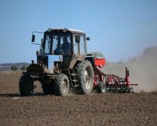 Цены на землю в Украине выросли на 26% — поле