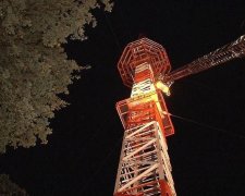 "Хоробрих" німецьких підлітків рятували копи на гелікоптерах
