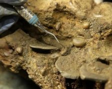 Американський археолог натрапив на незлічені піратські скарби