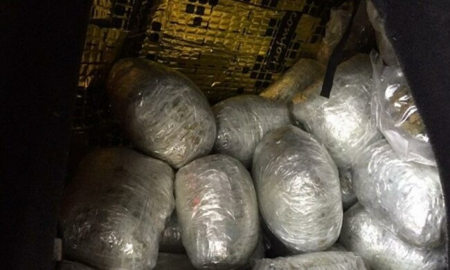 Силовики на кордоні вилучили більше 20 кг "кайфу"