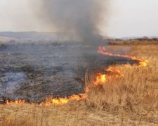 Підпали трави ведуть до моторошних наслідків: фото