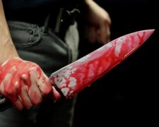 Харьковчанин зарезал родных бабушку и дедушку