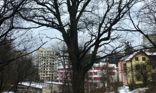 источник: Львовский портал