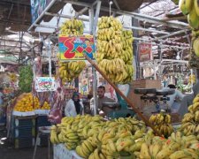 Будьте осторожны: эта отметка на фрукте говорит о смертельной опасности