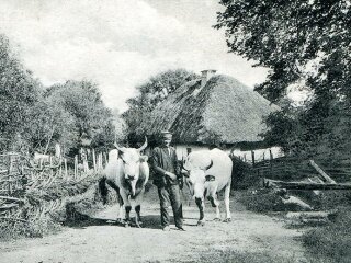 Украинские пейзажи, фото: Владимир Козюк / Facebook