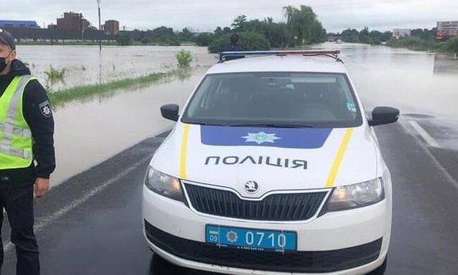 На Франківщині пенсіонерку поглинув ліс - обожнювала ягоди