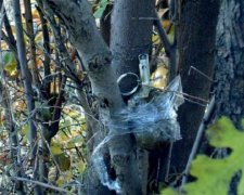 Две женщины подорвались на растяжке под Марьинкой