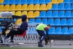 Кішка на футбольному матчі, фото Twitter